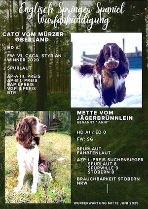 Aktuelle Wurfankündigung